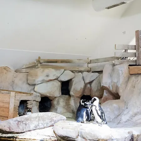 Awesome In With Wifi