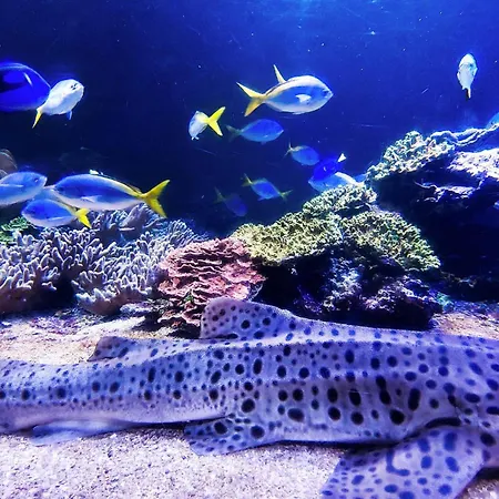 Awesome In With Wifi Сasa de vacaciones *